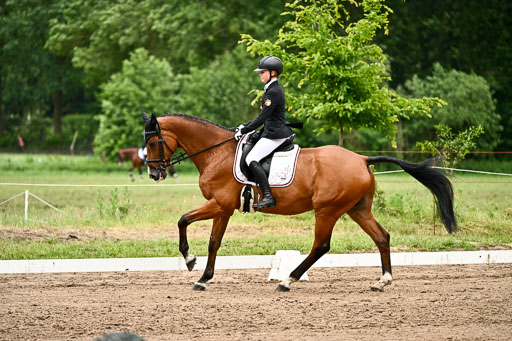 Goldene Schärpe Pferfde in Löningen 2026 | 12062026Dressur B _0802 