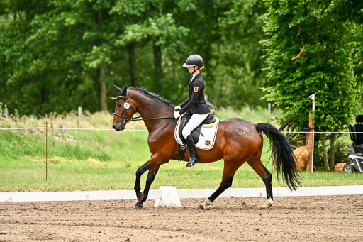 Goldene Schärpe Pferfde in Löningen 2026 | 12062026Dressur B _0803 