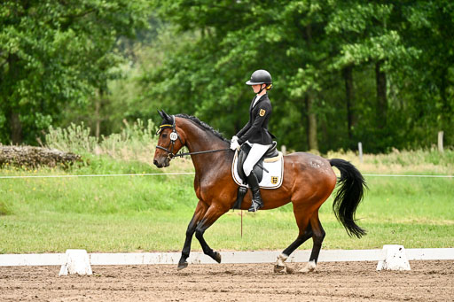 Goldene Schärpe Pferfde in Löningen 2026 | 12062026Dressur B _0804 