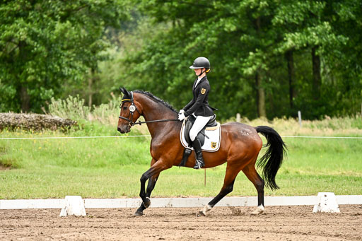 Goldene Schärpe Pferfde in Löningen 2026 | 12062026Dressur B _0805 