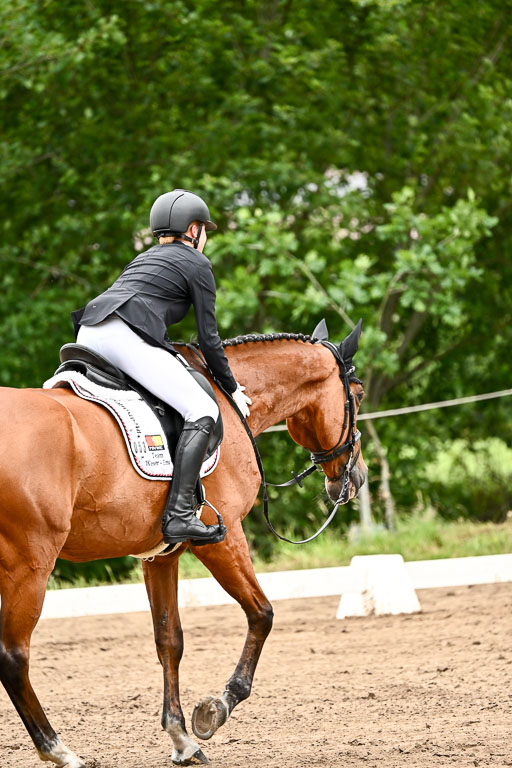 Goldene Schärpe Pferfde in Löningen 2026 | 12062026Dressur B _0806 