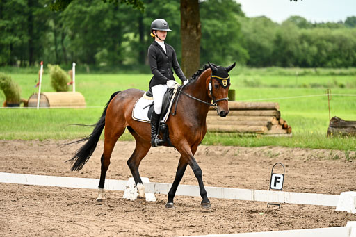 Goldene Schärpe Pferfde in Löningen 2026 | 12062026Dressur B _0807 