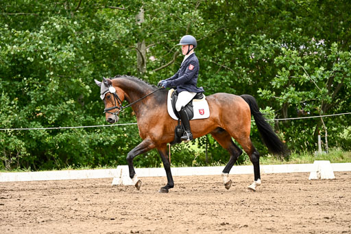 Goldene Schärpe Pferfde in Löningen 2026 | 12062026Dressur B _0808 