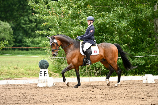 Goldene Schärpe Pferfde in Löningen 2026 | 12062026Dressur B _0809 