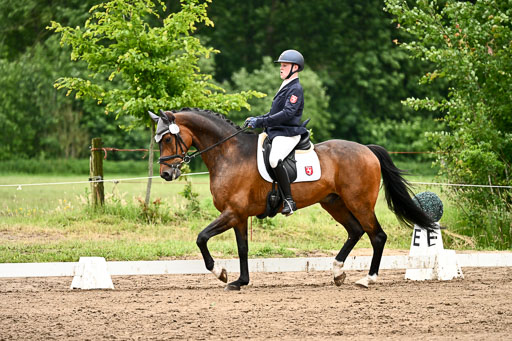 Goldene Schärpe Pferfde in Löningen 2026 | 12062026Dressur B _0810 