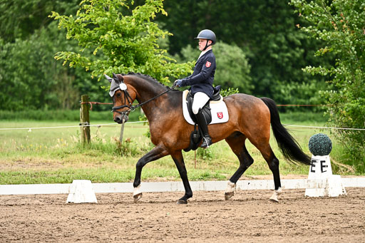 Goldene Schärpe Pferfde in Löningen 2026 | 12062026Dressur B _0811 