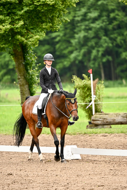 Goldene Schärpe Pferfde in Löningen 2026 | 12062026Dressur B _0812 