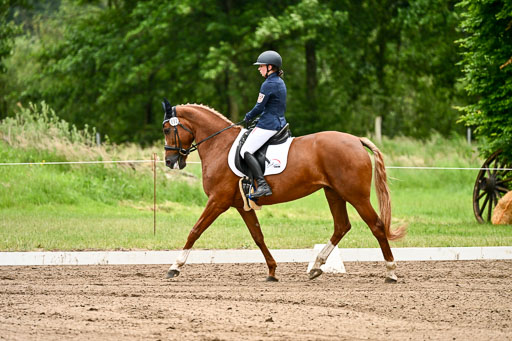 Goldene Schärpe Pferfde in Löningen 2026 | 12062026Dressur B _0814 