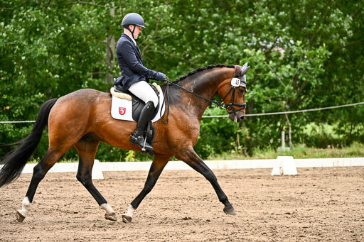 Goldene Schärpe Pferfde in Löningen 2026 | 12062026Dressur B _0817 