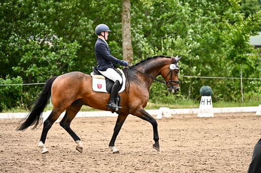 Goldene Schärpe Pferfde in Löningen 2026 | 12062026Dressur B _0818 