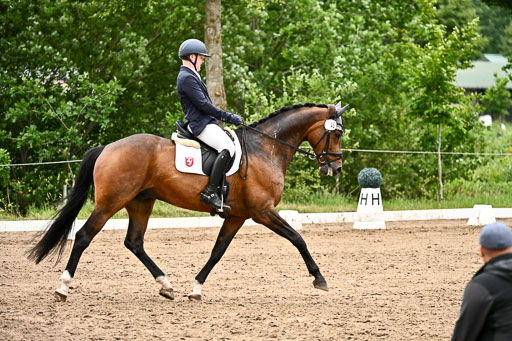 Goldene Schärpe Pferfde in Löningen 2026 | 12062026Dressur B _0819 