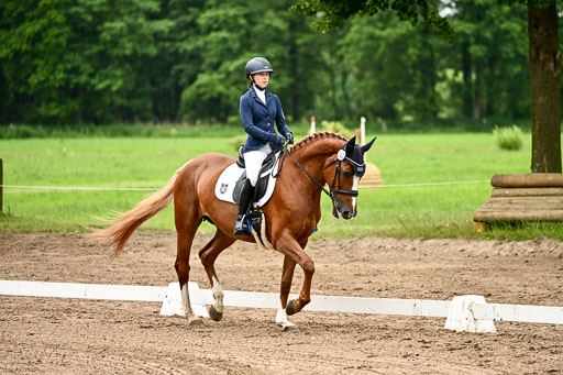 Goldene Schärpe Pferfde in Löningen 2026 | 12062026Dressur B _0820 