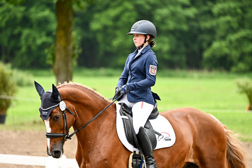 Goldene Schärpe Pferfde in Löningen 2026 | 12062026Dressur B _0821 