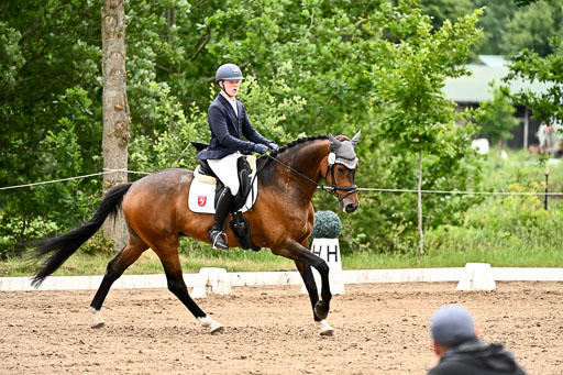 Goldene Schärpe Pferfde in Löningen 2026 | 12062026Dressur B _0822 