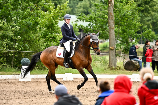 Goldene Schärpe Pferfde in Löningen 2026 | 12062026Dressur B _0823 