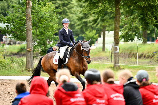 Goldene Schärpe Pferfde in Löningen 2026 | 12062026Dressur B _0824 