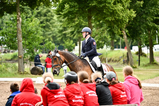 Goldene Schärpe Pferfde in Löningen 2026 | 12062026Dressur B _0825 