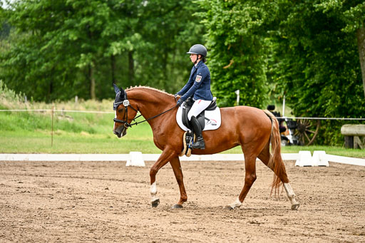 Goldene Schärpe Pferfde in Löningen 2026 | 12062026Dressur B _0826 