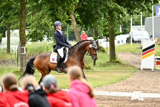Goldene Schärpe Pferfde in Löningen 2026 | 12062026Dressur B _0827 