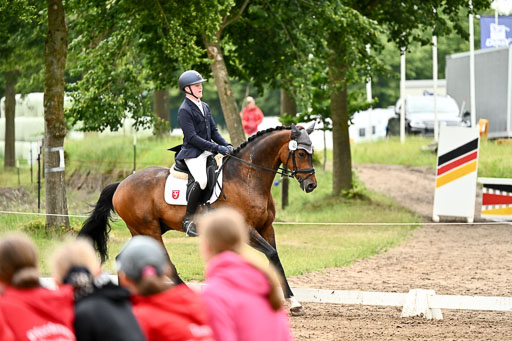 Goldene Schärpe Pferfde in Löningen 2026 | 12062026Dressur B _0828 