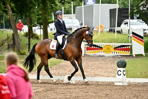 Goldene Schärpe Pferfde in Löningen 2026 | 12062026Dressur B _0829 