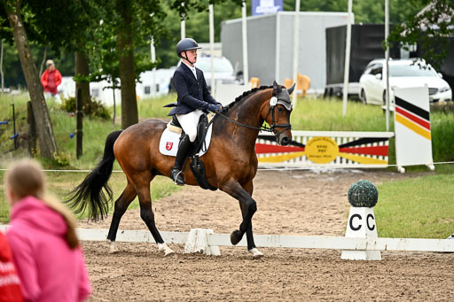 Goldene Schärpe Pferfde in Löningen 2026 | 12062026Dressur B _0830 