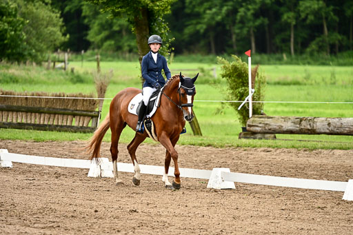 Goldene Schärpe Pferfde in Löningen 2026 | 12062026Dressur B _0832 