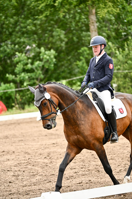 Goldene Schärpe Pferfde in Löningen 2026 | 12062026Dressur B _0833 