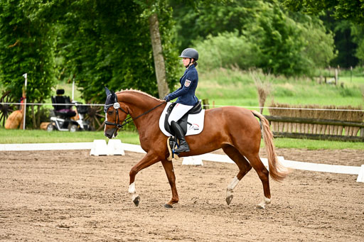 Goldene Schärpe Pferfde in Löningen 2026 | 12062026Dressur B _0834 
