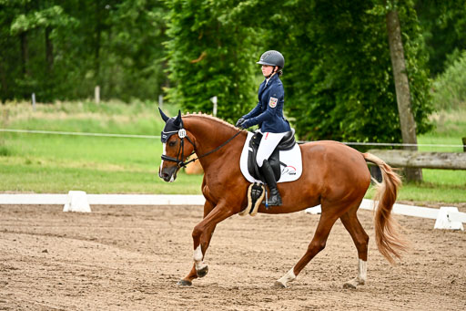 Goldene Schärpe Pferfde in Löningen 2026 | 12062026Dressur B _0835 