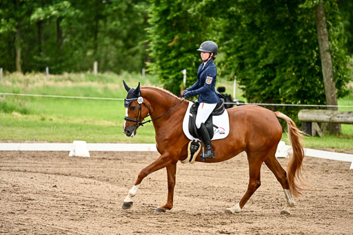 Goldene Schärpe Pferfde in Löningen 2026 | 12062026Dressur B _0836 