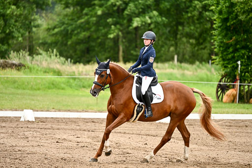 Goldene Schärpe Pferfde in Löningen 2026 | 12062026Dressur B _0837 