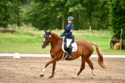 Goldene Schärpe Pferfde in Löningen 2026 | 12062026Dressur B _0838 