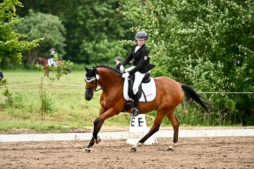 Goldene Schärpe Pferfde in Löningen 2026 | 12062026Dressur B _0839 