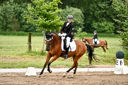 Goldene Schärpe Pferfde in Löningen 2026 | 12062026Dressur B _0840 