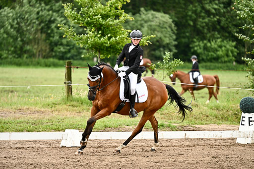 Goldene Schärpe Pferfde in Löningen 2026 | 12062026Dressur B _0841 