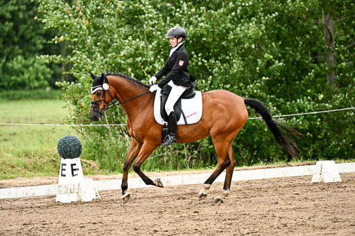 Goldene Schärpe Pferfde in Löningen 2026 | 12062026Dressur B _0842 