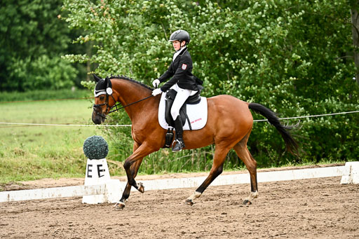 Goldene Schärpe Pferfde in Löningen 2026 | 12062026Dressur B _0843 