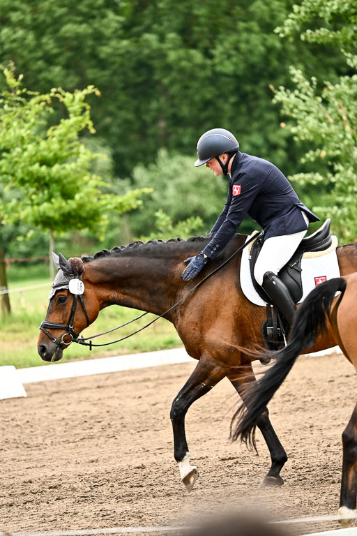 Goldene Schärpe Pferfde in Löningen 2026 | 12062026Dressur B _0845 