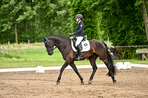 Goldene Schärpe Pferfde in Löningen 2026 | 12062026Dressur B _0848 