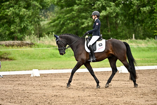 Goldene Schärpe Pferfde in Löningen 2026 | 12062026Dressur B _0849 