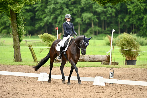 Goldene Schärpe Pferfde in Löningen 2026 | 12062026Dressur B _0851 