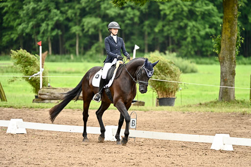 Goldene Schärpe Pferfde in Löningen 2026 | 12062026Dressur B _0852 