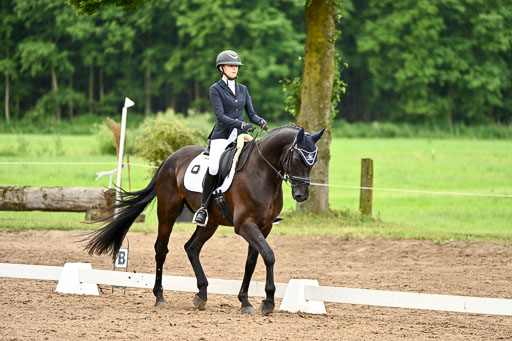 Goldene Schärpe Pferfde in Löningen 2026 | 12062026Dressur B _0853 