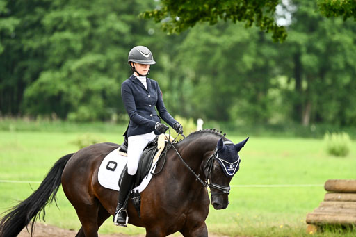 Goldene Schärpe Pferfde in Löningen 2026 | 12062026Dressur B _0854 