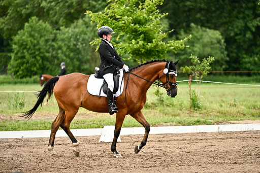 Goldene Schärpe Pferfde in Löningen 2026 | 12062026Dressur B _0855 
