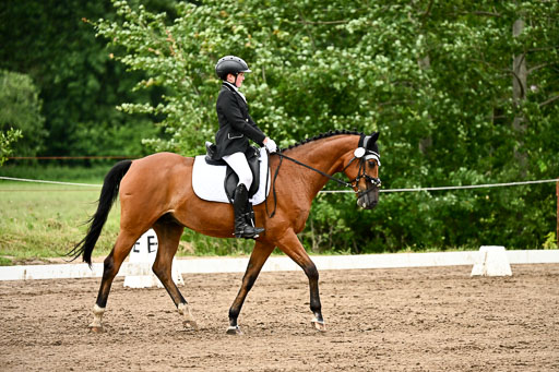 Goldene Schärpe Pferfde in Löningen 2026 | 12062026Dressur B _0856 