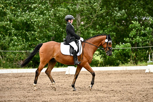 Goldene Schärpe Pferfde in Löningen 2026 | 12062026Dressur B _0857 