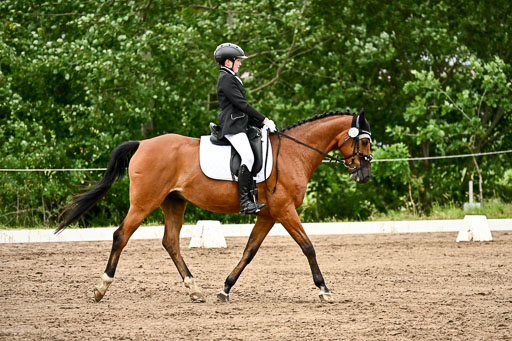 Goldene Schärpe Pferfde in Löningen 2026 | 12062026Dressur B _0858 