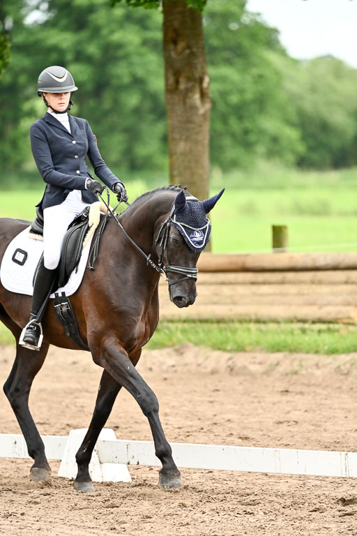 Goldene Schärpe Pferfde in Löningen 2026 | 12062026Dressur B _0859 